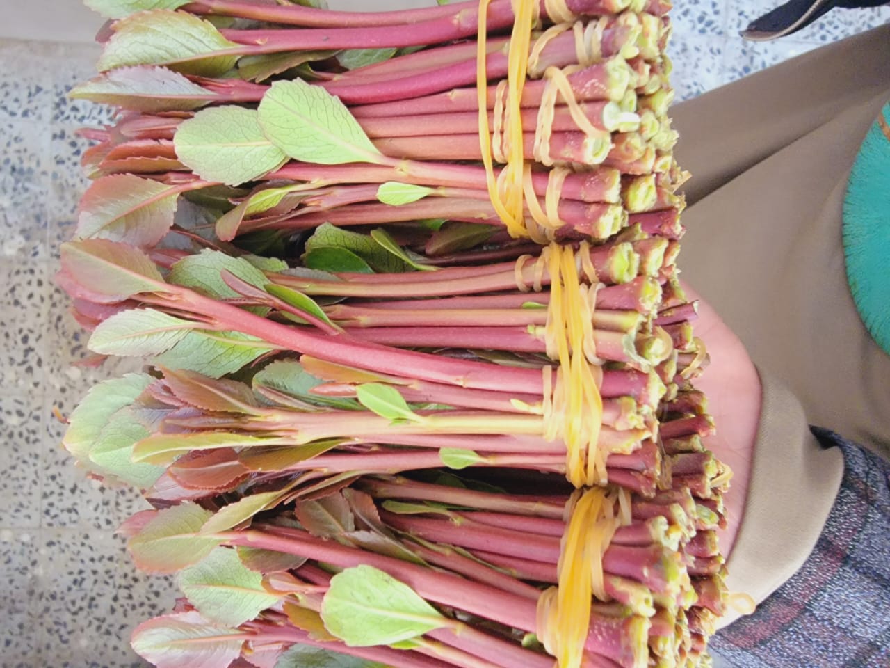 قات يمني فاخر